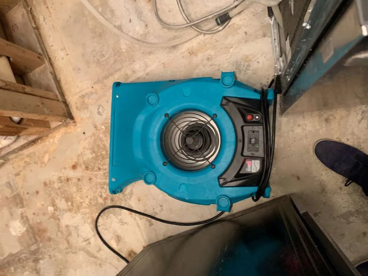 Air mover drying equipment for Mold Remediation & Removal in Austell